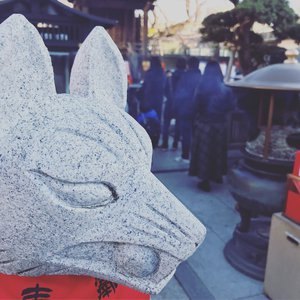 肉欲xmxx Gay hotpecs
